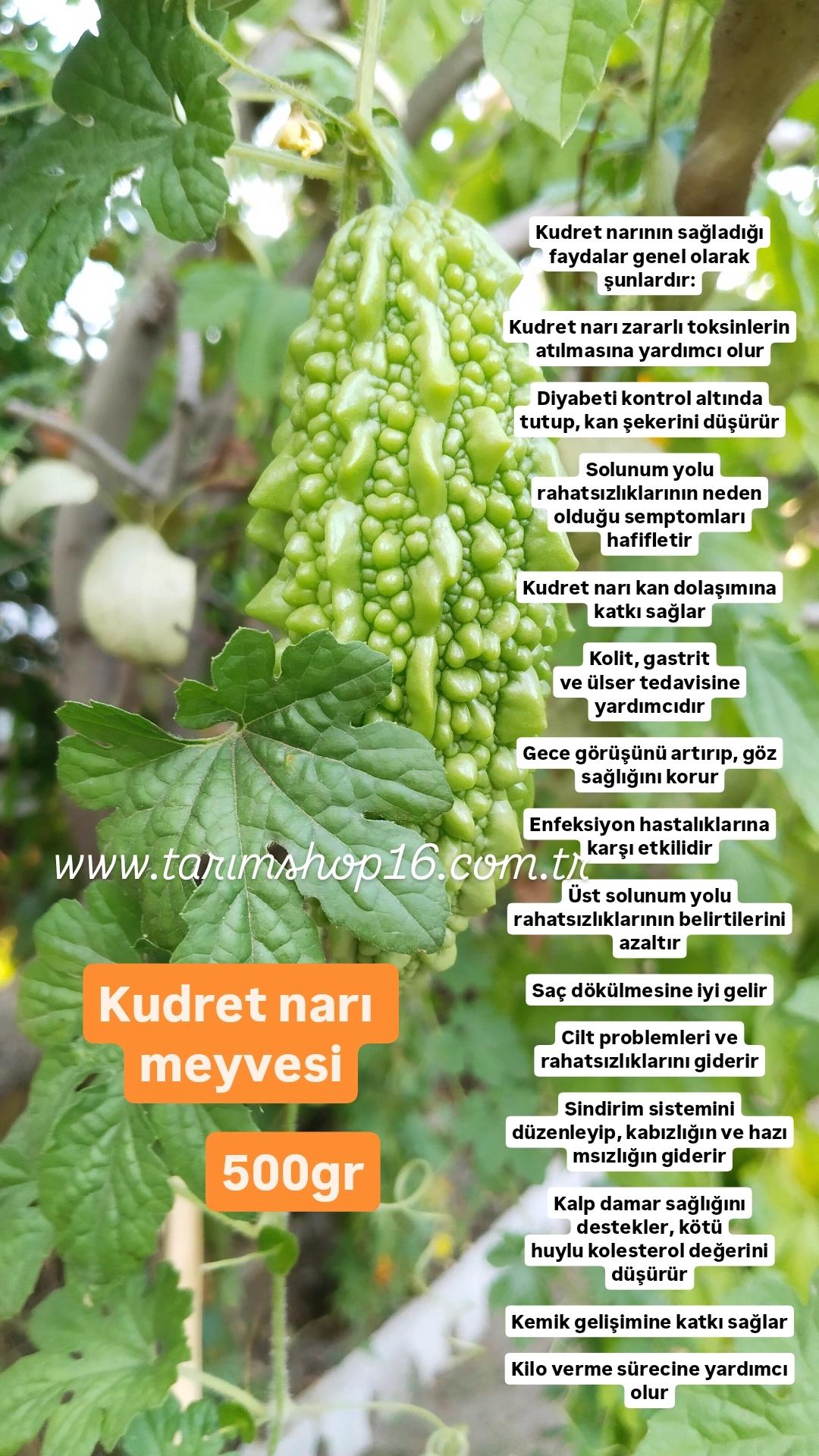 Taze%20Kudret%20Narı%20Meyvesi%20500%20gr