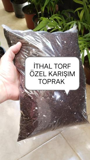 İTHAL TORF TOPRAK 3LT