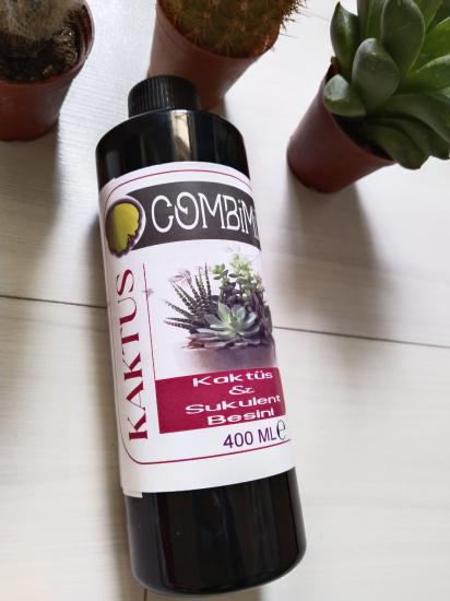 Combimix Sukulent &Kaktüs Besini 400 ml